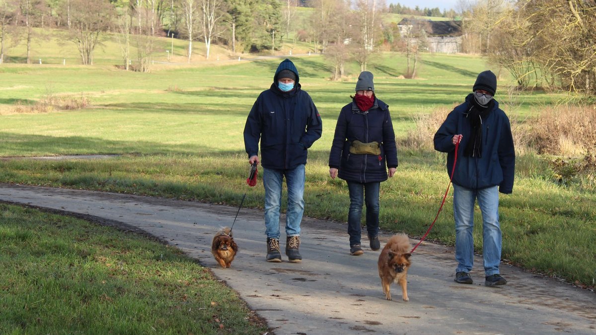 Zu sehen sind drei Spaziergänger und zwei Hunde